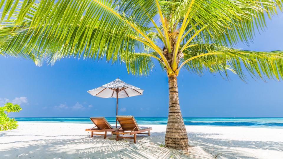 Graphic Best Travel Insurance Companies