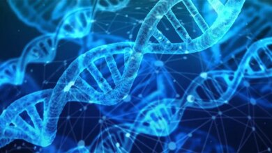10 Disabled Scientists To Discover