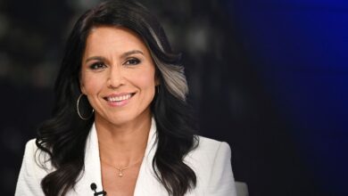 Tulsi Gabbard Net Worth